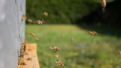 50+ MCP Server tốt nhất cho Claude Code năm 2026