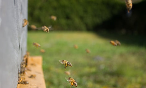 50+ MCP Server tốt nhất cho Claude Code năm 2026