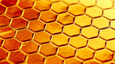 Agent Claude: Khám phá DNA Thương hiệu