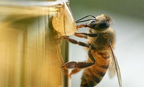 Claude 2026 — Tổng hợp tính năng mới và xu hướng AI