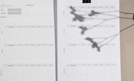 Claude hỗ trợ pháp lý cho doanh nghiệp FDI tại Việt Nam