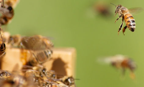 CLAUDE.md Mastery — Tối ưu workspace cho Claude Code