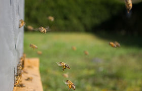 Xây dựng Skills cho Claude — Phần 3: Testing và Tối ưu hiệu suất